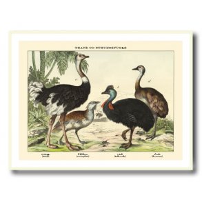 Natur plakat 30x40cm i hvid ramme