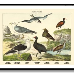 Natur plakat 50x70cm i ramme