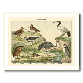 Natur plakat 30x40cm i hvid ramme
