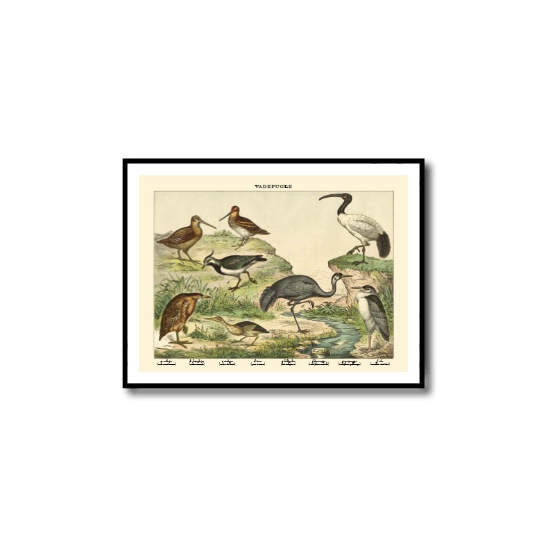 Natur plakat 50x70cm i ramme