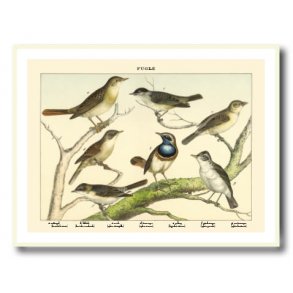 Natur plakat 30x40cm i hvid ramme