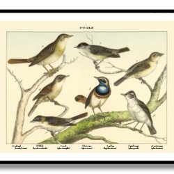 Nature poster 50x70cm in frame