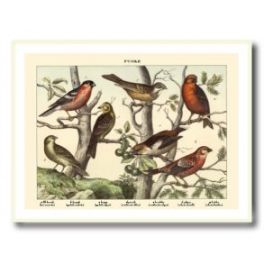 Natur plakat 30x40cm i hvid ramme