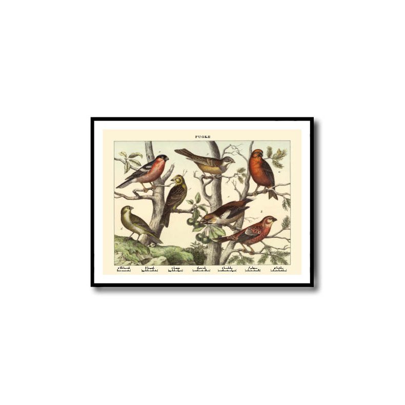 Natur plakat 50x70cm i ramme