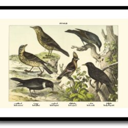 Nature poster 50x70cm in frame