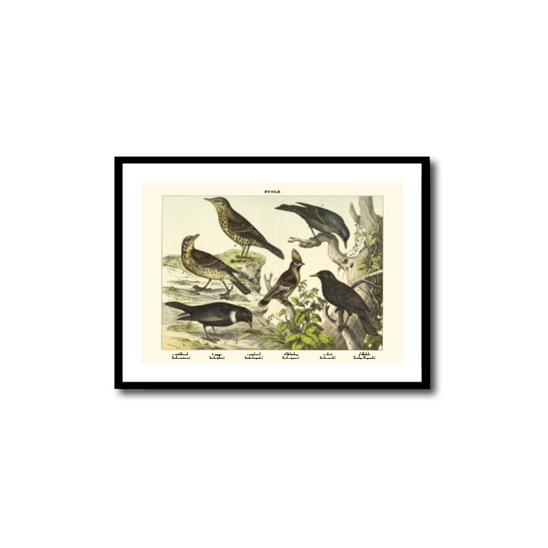 Natur plakat 50x70cm i ramme