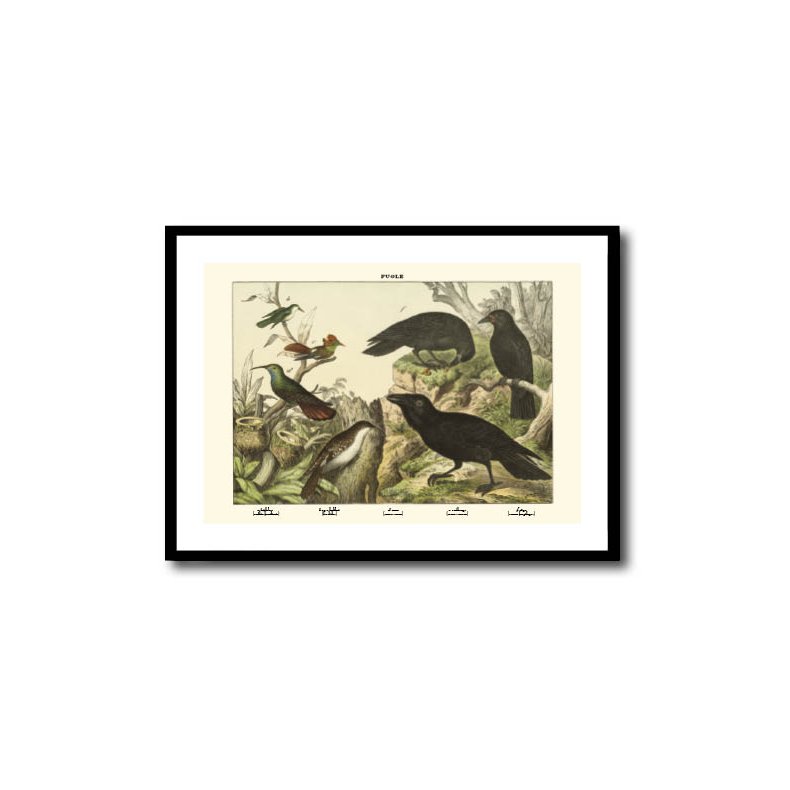 Natur plakat 50x70cm i ramme