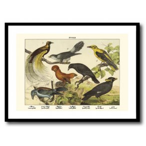 Natur plakat 50x70cm i ramme