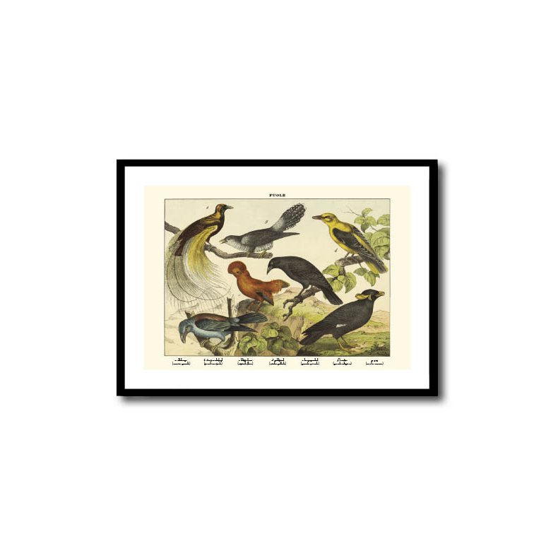 Natur plakat 50x70cm i ramme