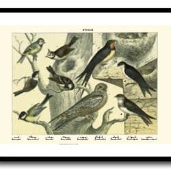 Nature poster 50x70cm in frame