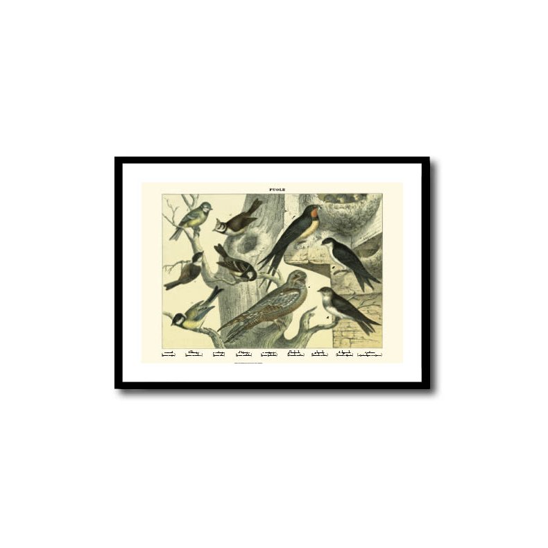 Natur plakat 50x70cm i ramme