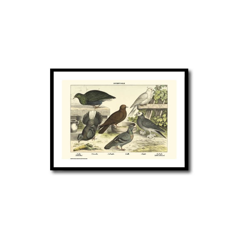 Natur plakat 50x70cm i ramme