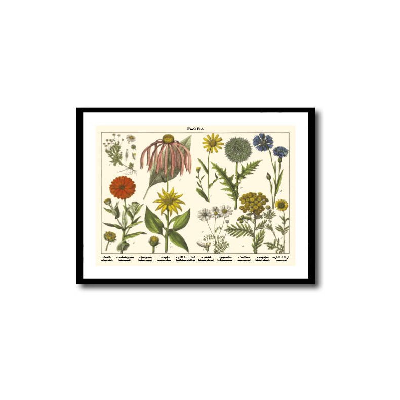 Natur plakat 50x70cm i ramme
