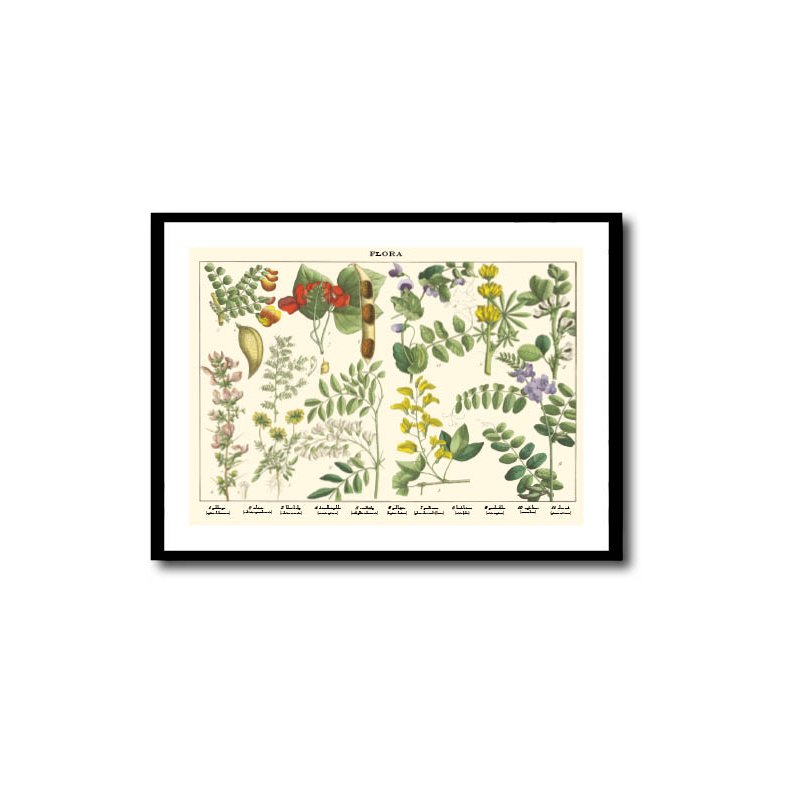 Natur plakat 50x70cm i ramme