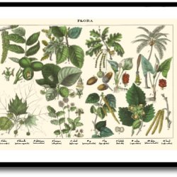 Natur plakat 50x70cm i ramme