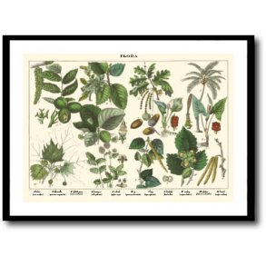 Natur plakat 50x70cm i ramme