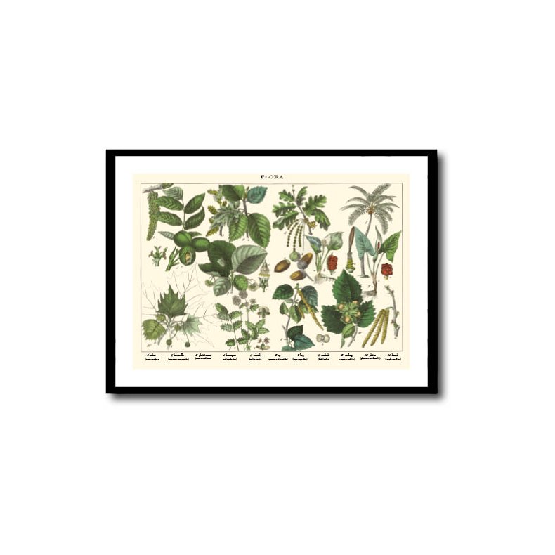 Nature poster 50x70cm in frame