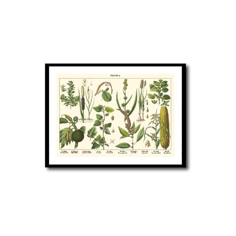 Natur plakat 50x70cm i ramme