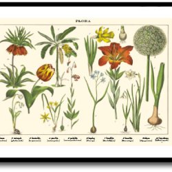 Natur plakat 50x70cm i ramme