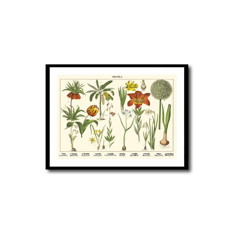 Nature poster 50x70cm in frame