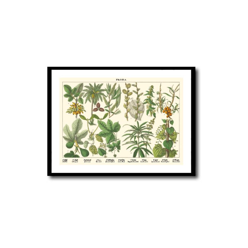 Natur plakat 50x70cm i ramme