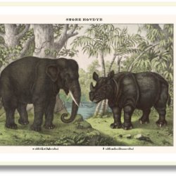 Nature poster 50x70cm in frame