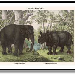 Nature poster 50x70cm in frame