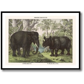 Nature poster 50x70cm in frame