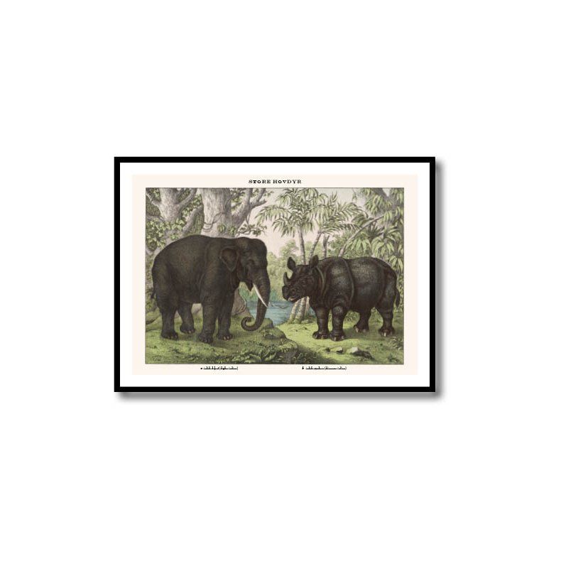Natur plakat 50x70cm i ramme