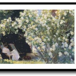 Skagen plakat 60x80cm i ramme