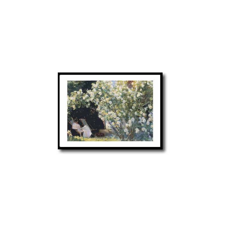 Skagen plakat 60x80cm i ramme